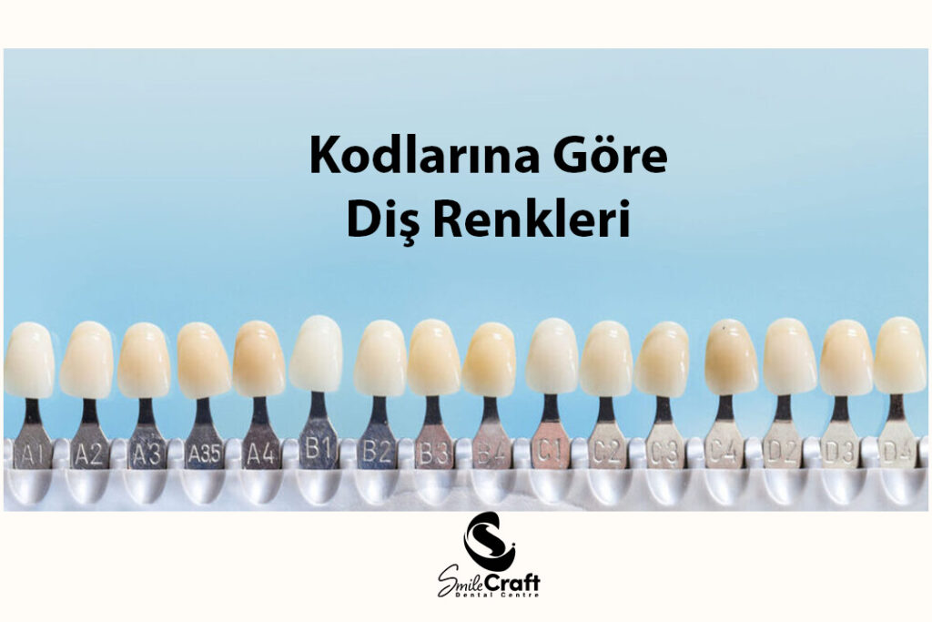 Diş Renk Kodları